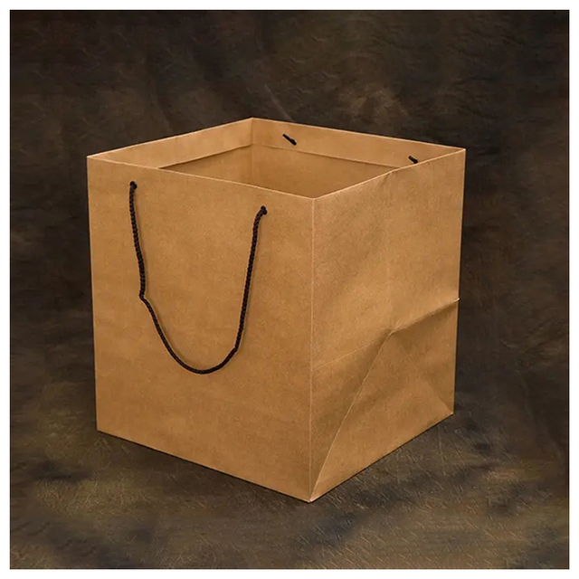 Bolsas de papel con su propio logotipo/bolsas personalizadas Bolsas de papel para muestra gratis