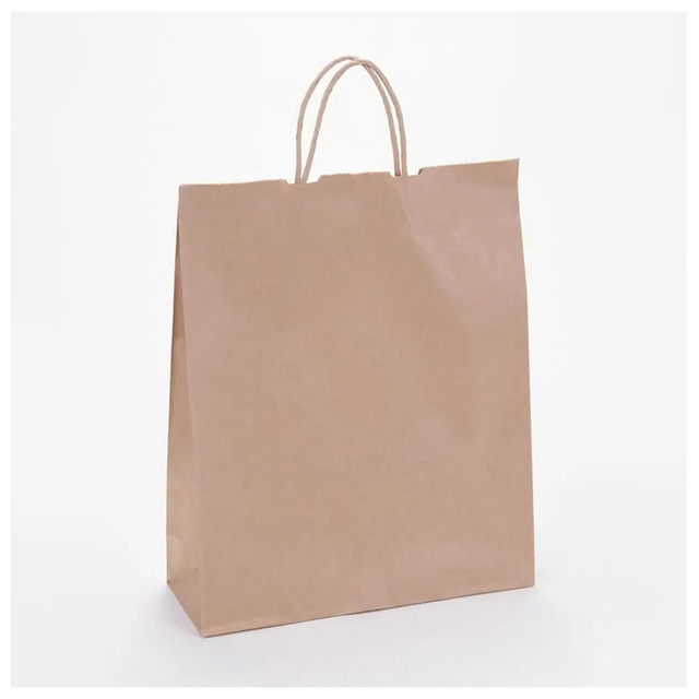La bolsa de compras torcida del papel de Kraft blanco y de Brown con el logotipo impreso