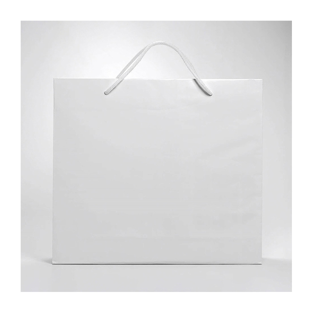 Embalaje Caja de regalo de cartón OEM y bolsa de papel ecológico